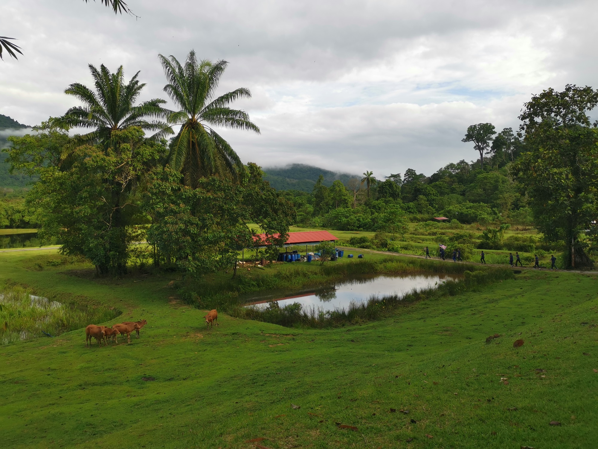 Learnt from nature